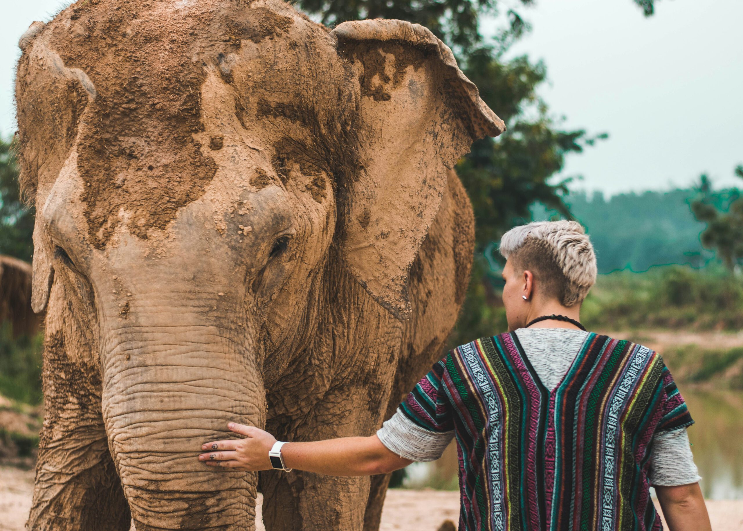 Stand-UP-Adventure-Thailand_Carousel-9_trinity-treft-AKqbM6He6gM-unsplash