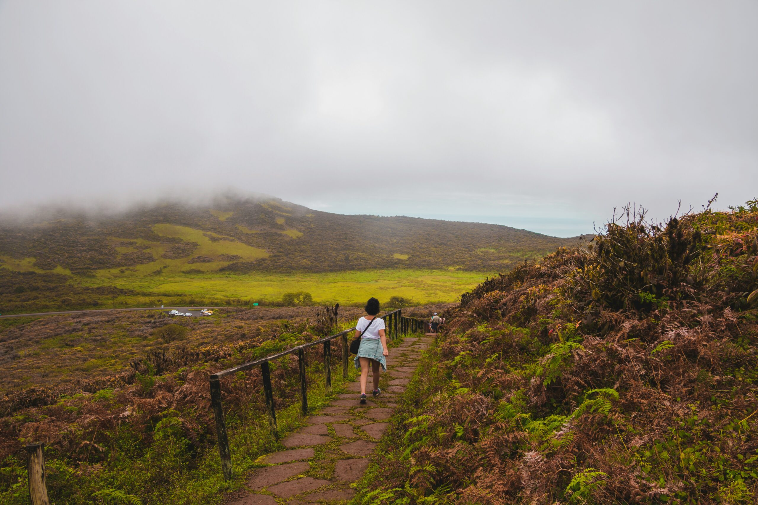 Ecuador Galapagos Trek_Highlight 5_amy-perez-WHIKM-b-mQo-unsplash